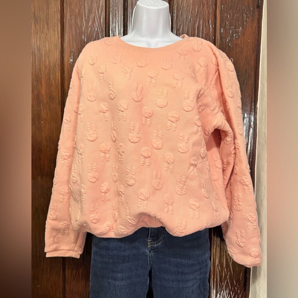 Women’s Pink Sweatshirt